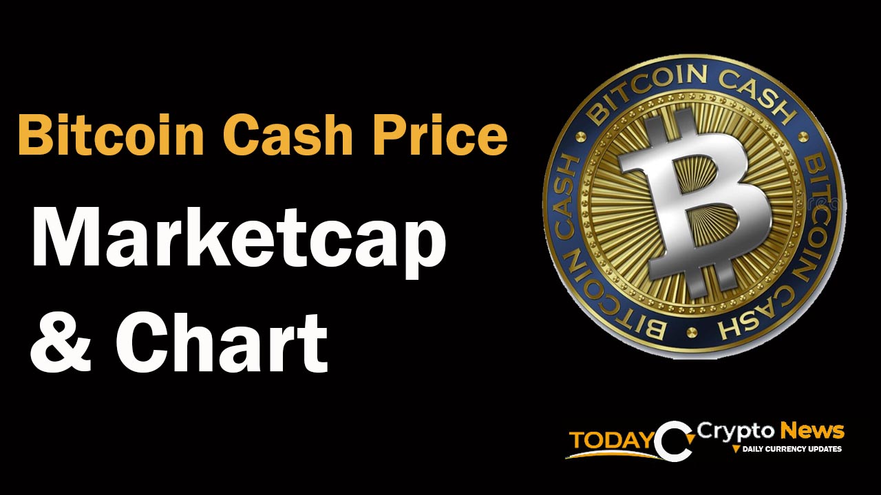 Bitcoin Cash Price Today, Market Cap And Chart, Bitcoin Cash To USD Live