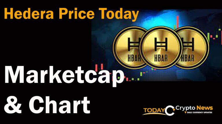 No 31 Hedera Price Today, Market Cap And Chart, Hedera To USD Live